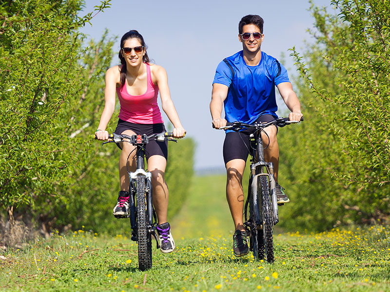 Cycling Tour